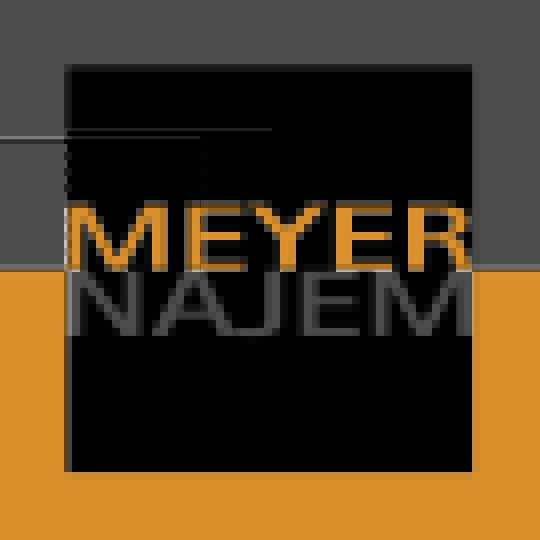 Meyer Najem